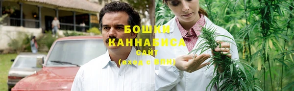 прущие грибы Каменск-Шахтинский