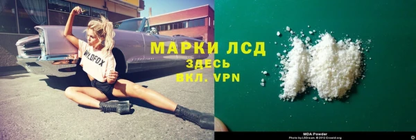 прущие грибы Каменск-Шахтинский
