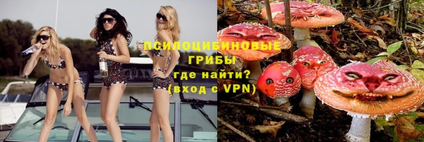 прущие грибы Каменск-Шахтинский