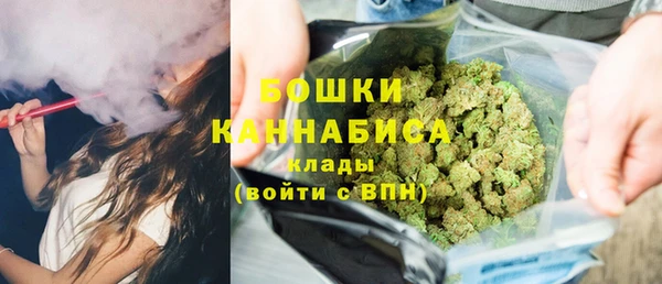 прущие грибы Каменск-Шахтинский