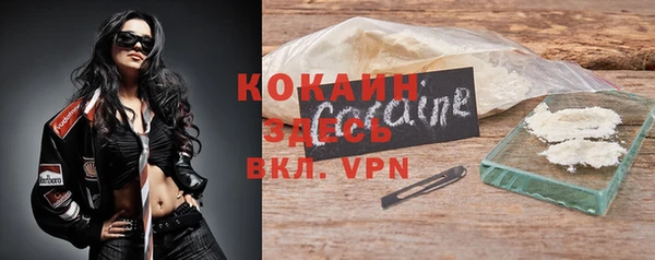 прущие грибы Каменск-Шахтинский