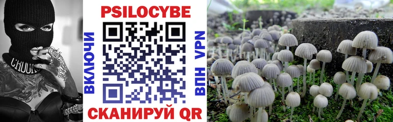 Купить где  Кисловодск  Галлюциногенные грибы Psilocybine cubensis 