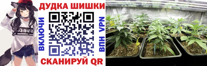 Купить закладки  Кисловодск  Канабис марихуана 